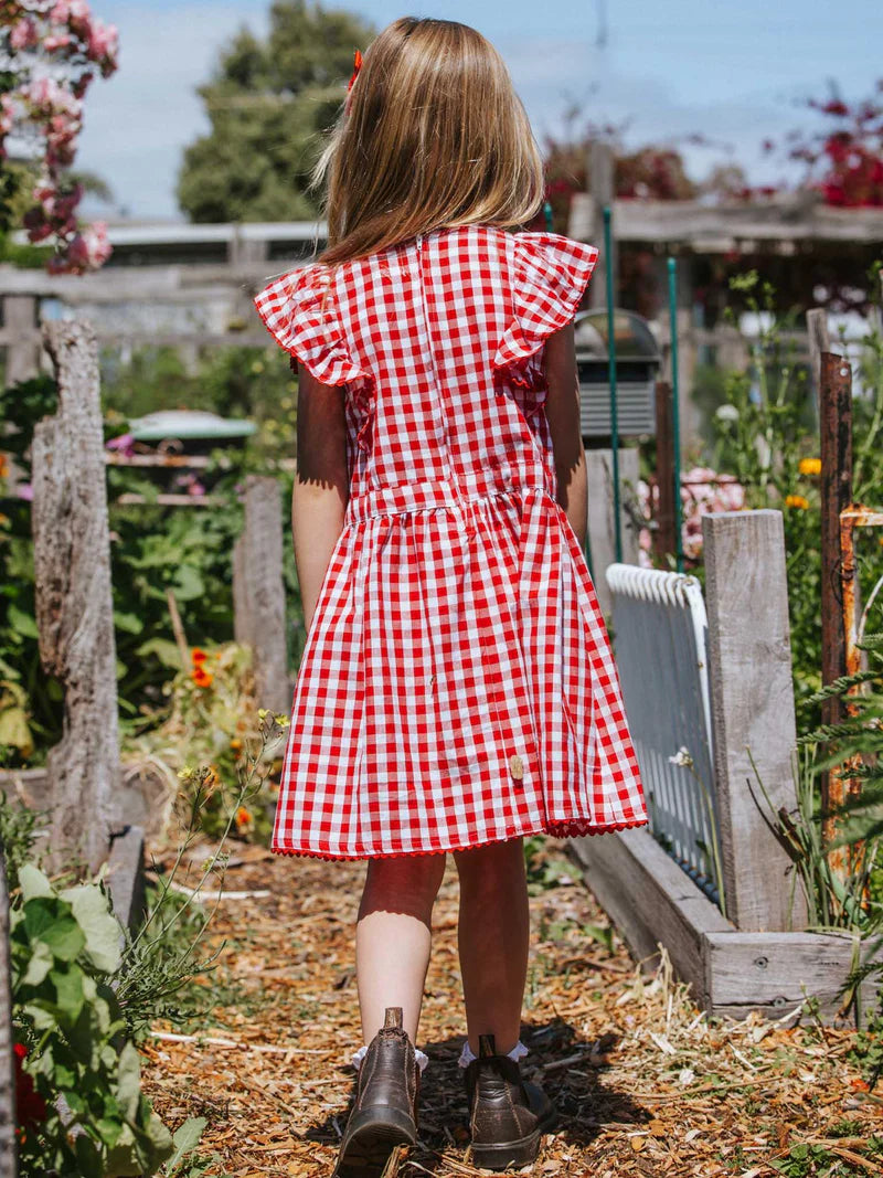 Red Gingham Lacy Dress