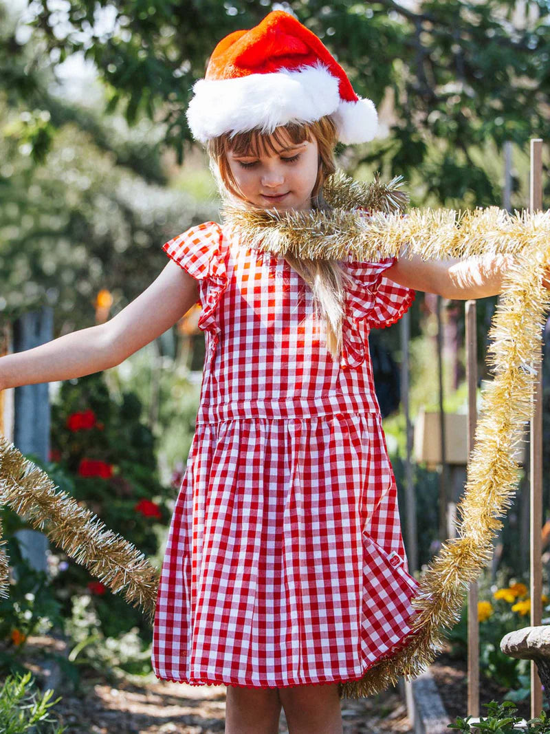 Red Gingham Lacy Dress