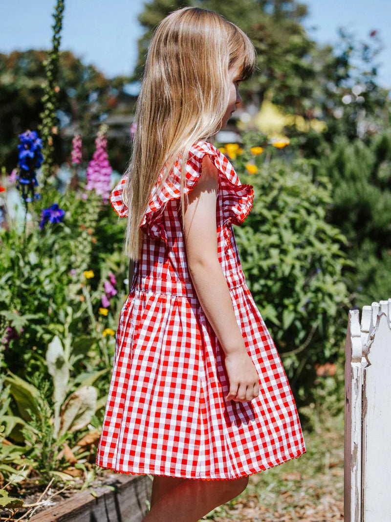 Red Gingham Lacy Dress